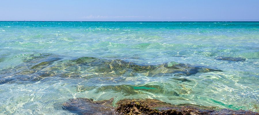 L'acqua cristallina della spiaggia di Punta della Suina