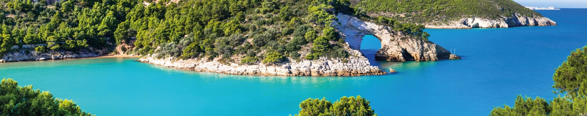 Vista di Vieste