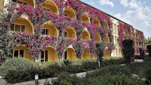 Tui Magic Life Calabria