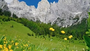 Hotel Stella Alpina