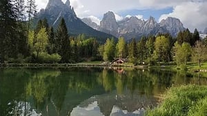 Hotel Stella Alpina