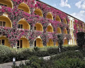 Tui Magic Life Calabria