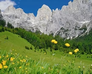 Hotel Stella Alpina