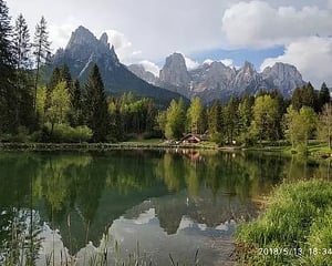 Hotel Stella Alpina