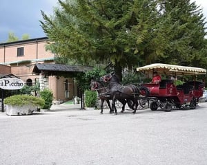 LH Hotel il Picchio