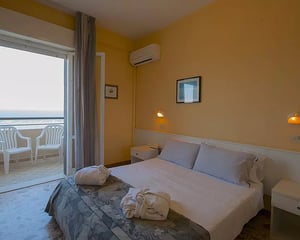 Hotel David