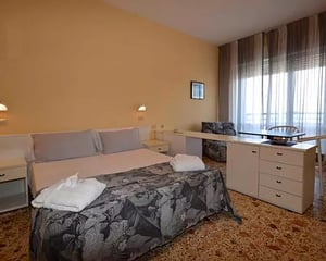 Hotel David