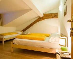 Hotel Regina Delle Dolomiti