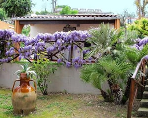 Europe Garden Village
