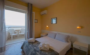 Hotel David