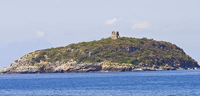Cirella