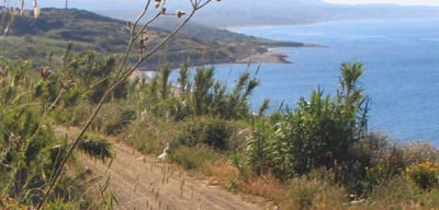 Cirò