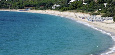 Maracalagonis