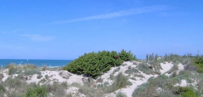 Tirrenia