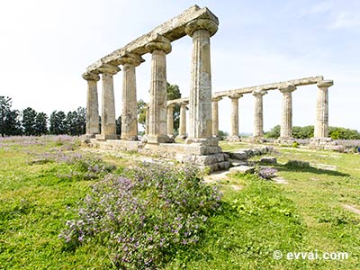 Metaponto