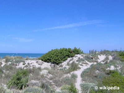 Tirrenia