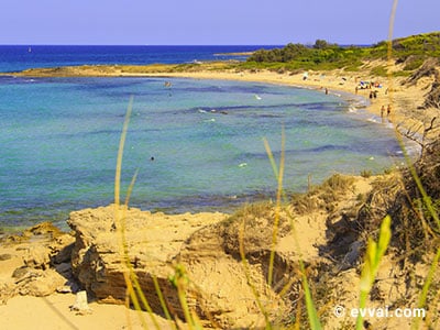 Torre Canne