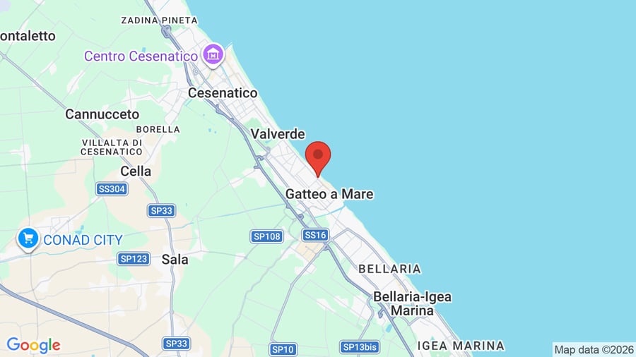Mappa Hotel David