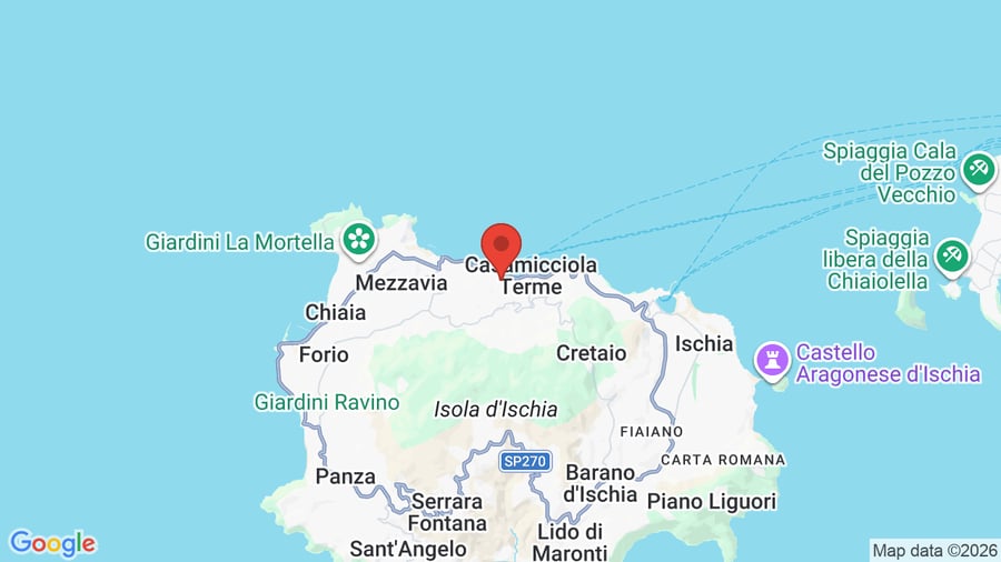 Mappa Cristallo Palace