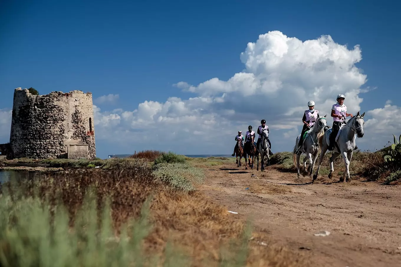 Horse Country Resort